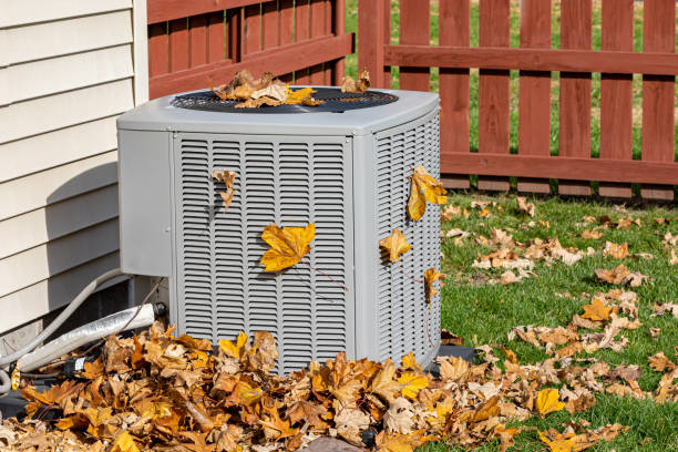 Best Solar-powered HVAC Systems in Vamo, FL